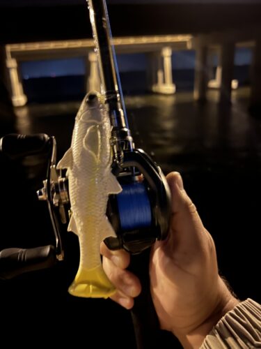 Savage Gear Pulse Tail Mullet (Line Thru) photo review