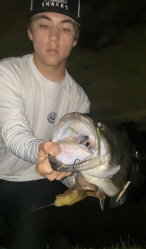 Savage Gear Tough Toad photo review