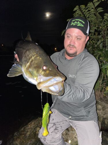 Savage Gear Pulse Tail Bluegill (Line Thru) photo review
