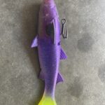 Savage Gear Pulse Tail Mullet (Line Thru) photo review