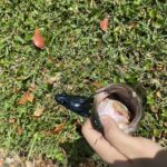 Savage Gear Tough Toad photo review