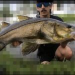 Savage Gear Tough Toad photo review