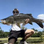 Savage Gear 3D Bluegill (Line Thru) photo review
