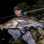 Savage Gear 3D Shine Glide photo review