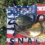 Savage Gear 3D Bluegill (Line Thru) photo review