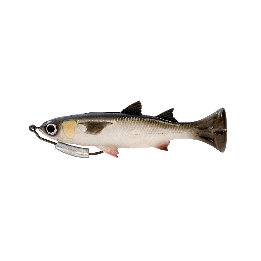 https://snooksnacks.com/wp-content/uploads/2022/02/pulse-tail-mullet-loose-body-with-hook.jpg