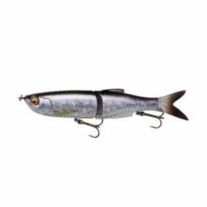 3d glide swimmer ghost gizzard