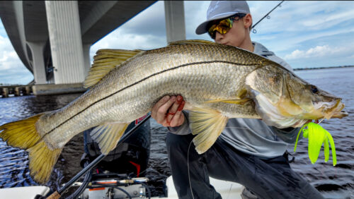 Snook Snacks Flair Hawk Jigs photo review