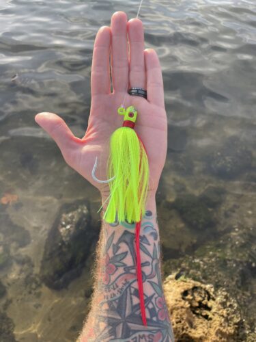 Snook Snacks Flair Hawk Jigs photo review