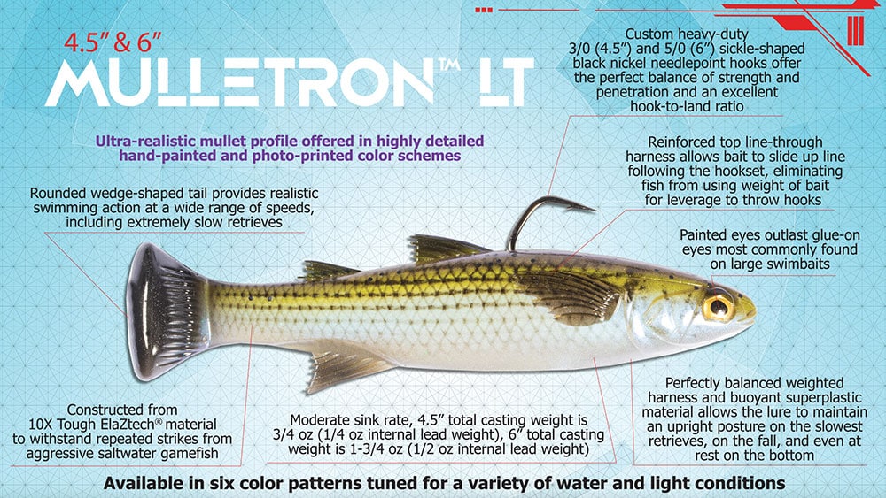 zman mulletron lt infographic