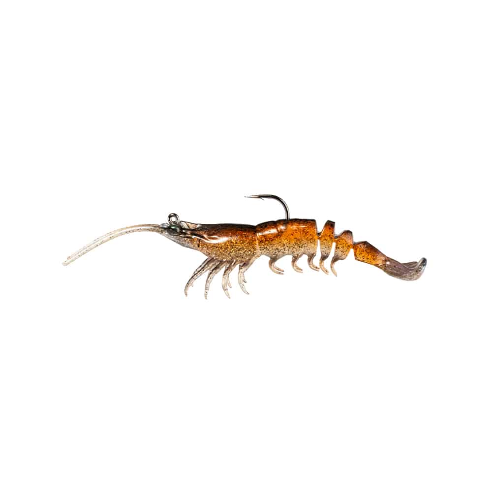 zman prawn starz brown shrimp