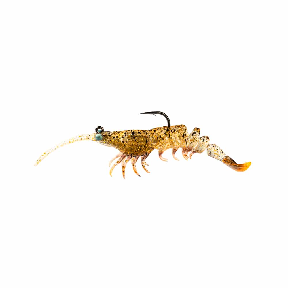 zman prawn starz golden boy