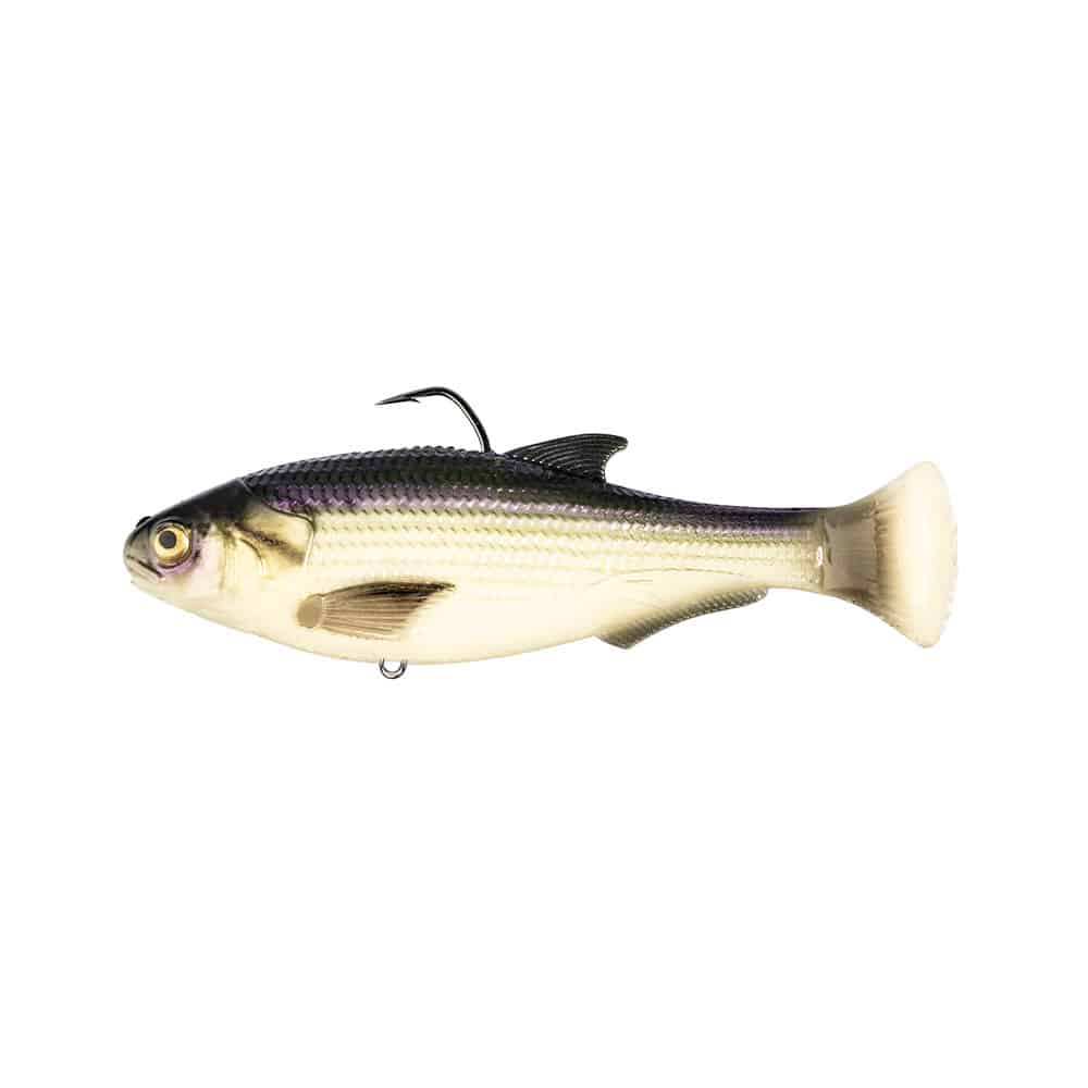 zman shadtron lt fishbone