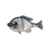 Leurre Souple Savage Gear 3D Line Thru Bluegill – 15 Cm – Appât Nageur Dark Gill – NEUF