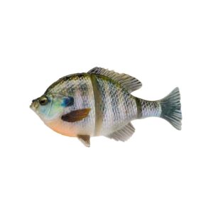 Savage Gear 3D Bluegill (Line Thru)