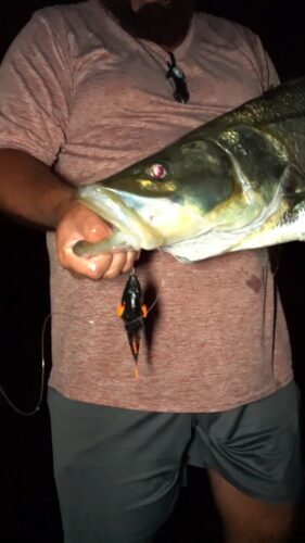 Savage Gear Black & Orange Gill (Line Thru) photo review