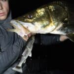 Savage Gear Hybrid Mullet V2 (Line Thru) photo review