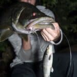 Savage Gear Hybrid Mullet V2 (Line Thru) photo review