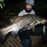 Savage Gear Hybrid Mullet V2 (Line Thru) photo review