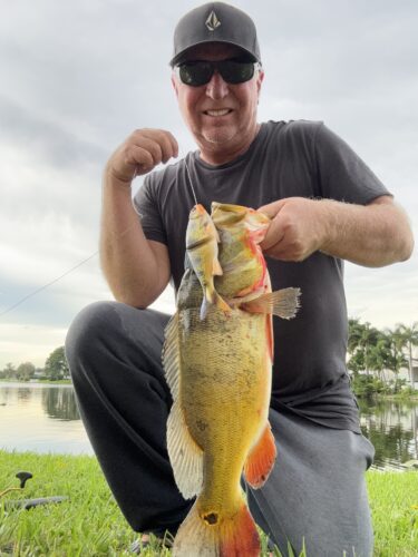 Savage Gear Peacock Bass Soft Shine Glide (Line Thru) photo review