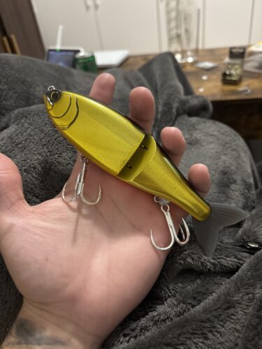 Swimbait Republic Glideway 176 photo review