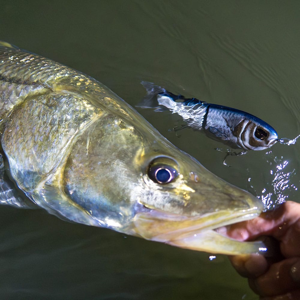 Throwback Baits Big Game Metro Glide Bait "Mullet" - Image 3