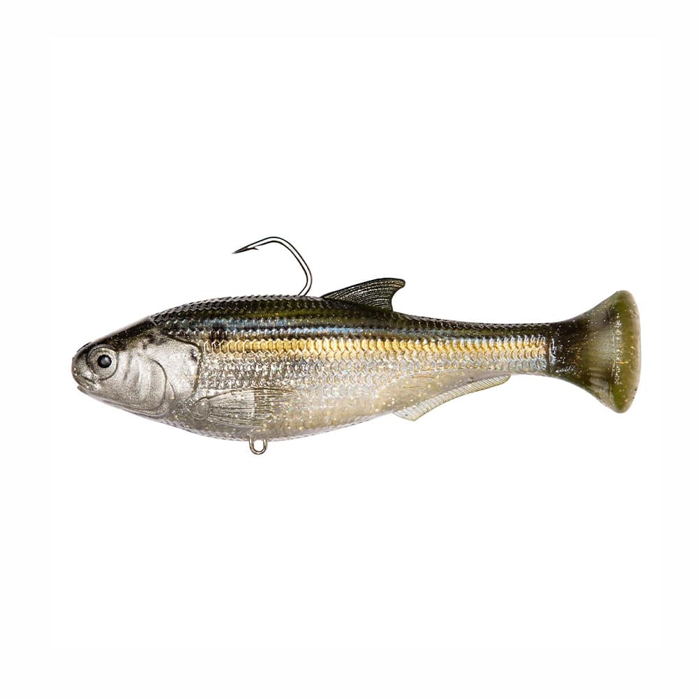 zman shadtron lt Threadfin Shad