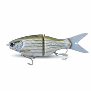9" Vision Shad Salt