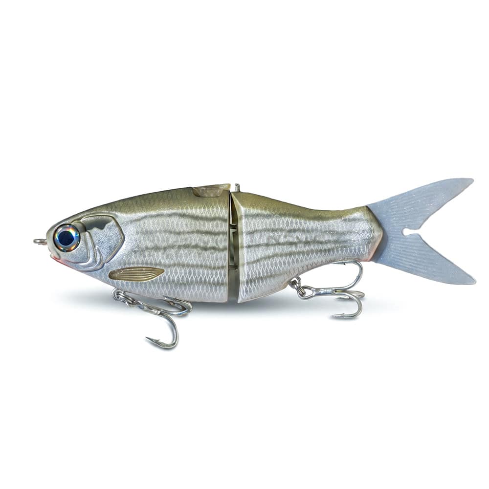 9" Vision Shad Salt