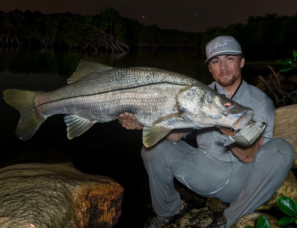 9" Vision Shad Salt - Image 3