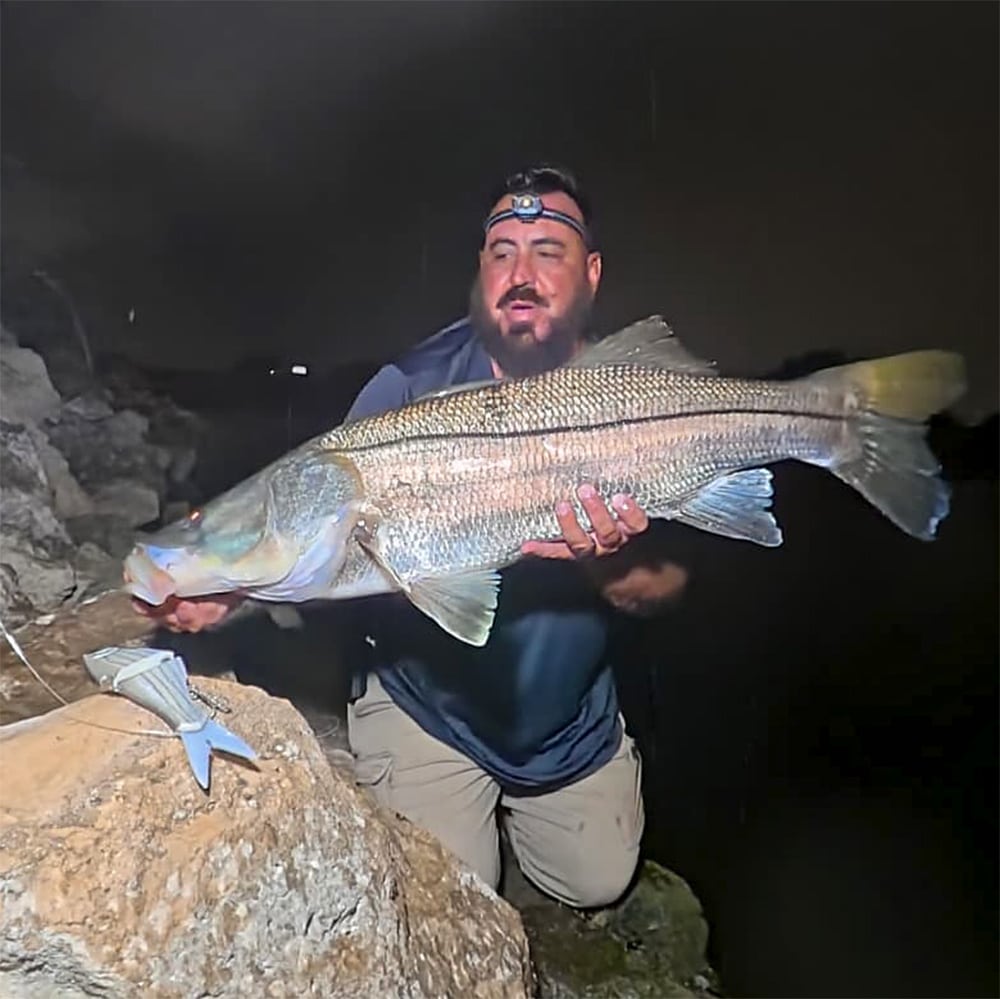 9" Vision Shad Salt - Image 5
