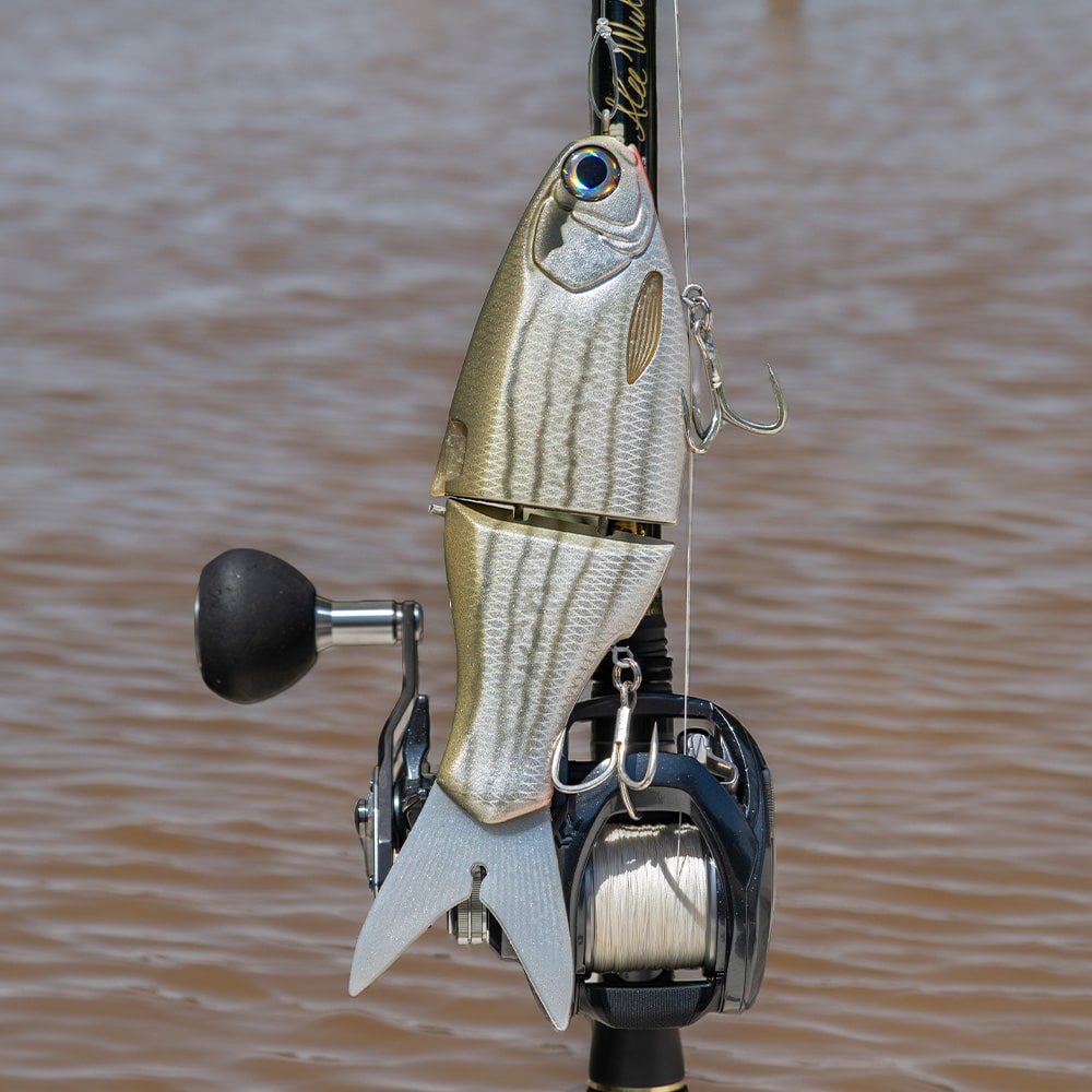vision shad salt on rod
